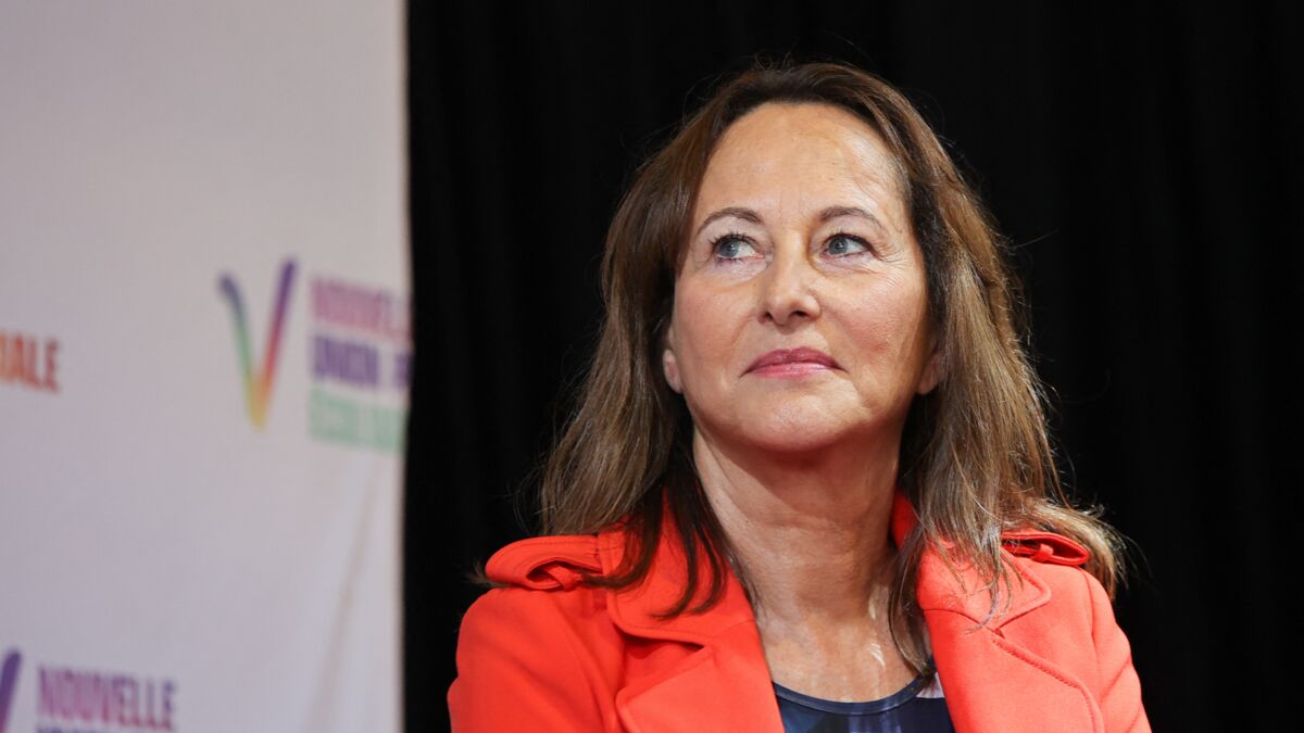 , Ségolène Royal, éditorialiste politique à TPMP